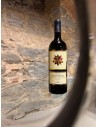 Tenuta Belguardo